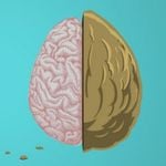Therapy In A Nutshell discount code